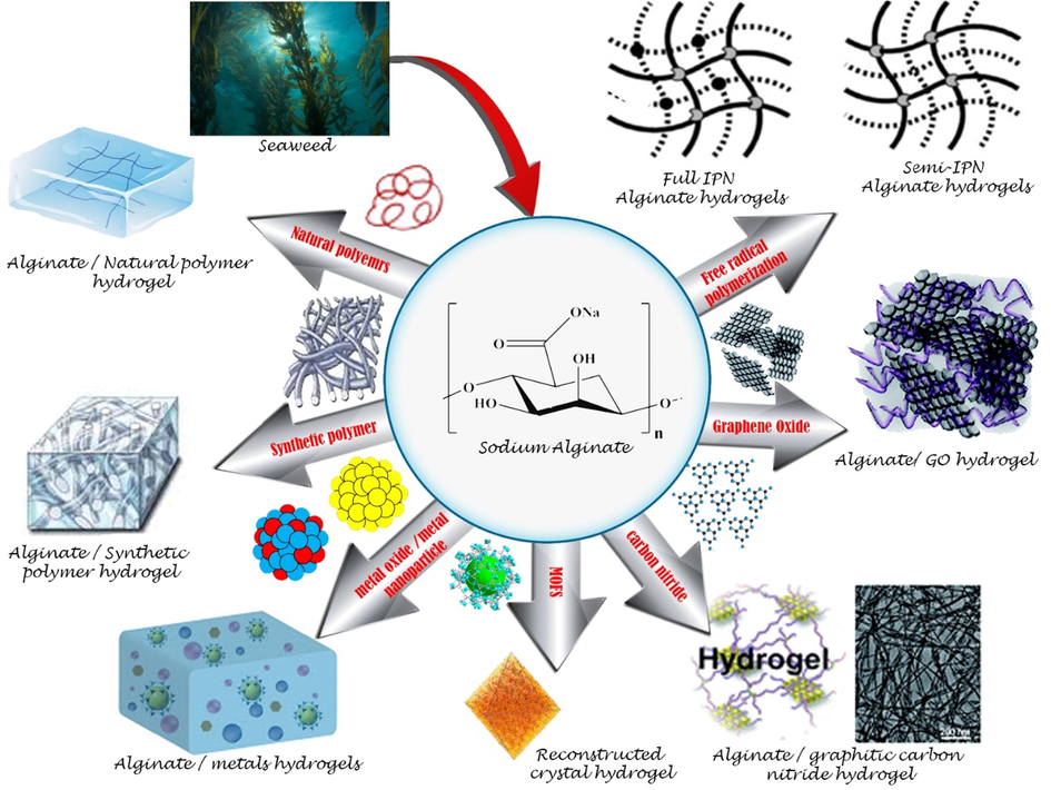 Sodium alginate hydrogels incorporated with different materials for the adsorption of dyes or metal ions.