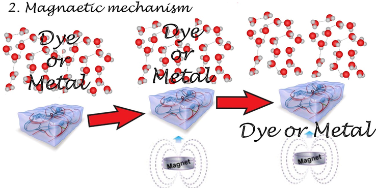 Scheme of magnetic separation of dyes or metal ions.