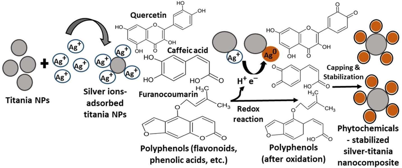 Schematic diagram showing the mechanistic aspect of Ag-TiO2 NCs synthesis by goji berry extract.