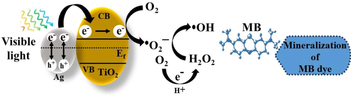 Schematic illustration of the possible mechanism for the photocatalytic degradation of MB dye by Ag-TiO2 NCs.