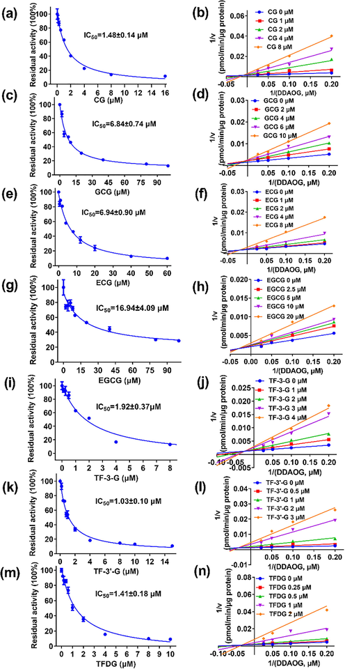 Inhibitory effects of the seven identified constitutes in black tea against DDAOG hydrolysis in EcGUS. Left: the concentration-dependent inhibition curves of CG (a), GCG (c), ECG (e), EGCG (g), TF-3-G (i), TF-3′-G (k), and TFDG (m). Right: the representative Lineweaver-Burk plots of CG (b), GCG (d), ECG (f), EGCG (h), TF-3-G (j), TF-3′-G (l), and TFDG (n).