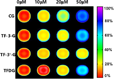 Inhibitory effects of CG, TF-3-G, TF-3′-G and TFDG on endogenous GUS activity in living bacteria Escherichia coli DH5alpha BRL. The bacterial cells were pre-incubated with each inhibitor (10, 20, and 50 μM) for 2 h, and DDAOG (10 μM) was added to the incubation system for another 2 h.