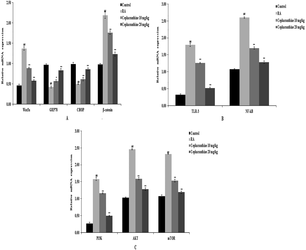 Cepharanthine treatment ameliorated alterations in the mRNA expression levels of Wnt, PI3K and TLR-3 in cartilage tissue of RA rats, as measured by qRT-PCR. A: mRNA expression levels of Wnt3a, GRP78, CHOP and β-catenin. B: mRNA expression levels of TLR-3 and NF-kB. C: mRNA expression levels of PI3K, AKT and mTOR. Mean ± SEM (n = 10); ##p < 0.01 compared with control group, **p < 0.01 compared with RA group.