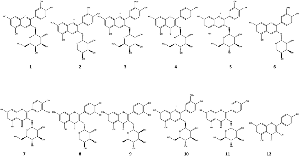 Molecular structure of compounds.