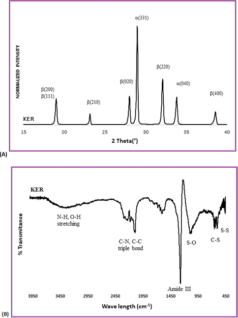 (A) XRD spectrogram of keratin from human hairs (KER); (B) FTIR analysis of KER.