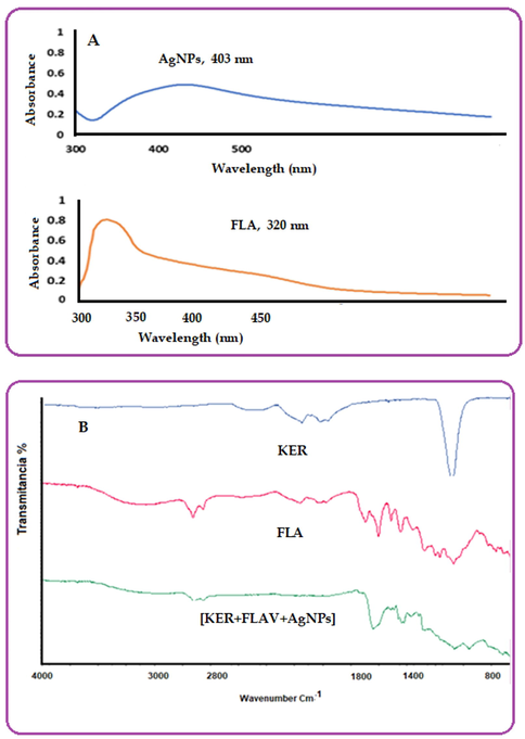 (A) UV–vis spectra of AgNPs and FLA; (B) FT-IR spectra for keratin, FlA and nanocomposites [KER + FLA + AgNPs].