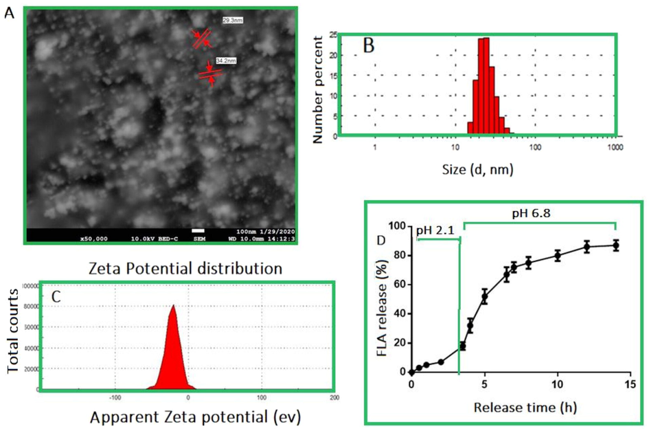 (A) SEM micrograph showing the morphological characteristics of KER, silver nanocomposites bio-synthesized using the flavonols from Vaccinium macrocarpon fruits; (B) size distribution of [KER + FLA + AgNPs]; (C) zeta potential of nanocomposites; (D) release profiles of FLA in simulated gastric fluid (pH 2.1) and simulated intestinal fluid (6.8). Data represent the means ± SD of 3 independent experiments, p < 0.05, significantly difference.