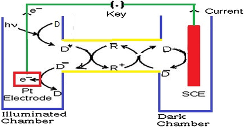 Mechanism of the photo-generation of the current in photogalvanic cell. Where SCE, Saturated calomel electrode; D, Sudan-I dye molecule; D*−, oxidised form of the Sudan-I molecule; R+, oxidised form of the fructose reductant; R, reduced state of the fructose; e-, electron.