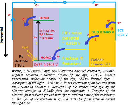 Energy level diagram for photo-generation of the current in cell.