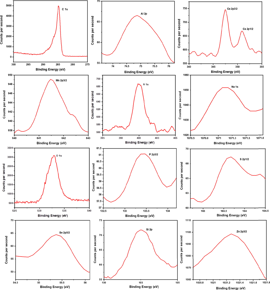 High-resolution XPS analysis of C, Al, Ca, Mn, N, Na, O, P, S, Se, Si and Zn in dried Rhatany roots.