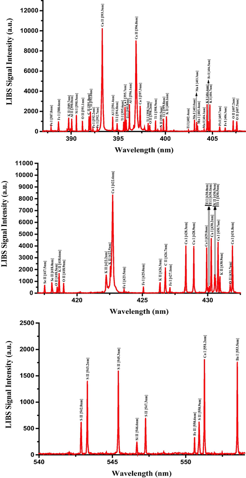 Typical LIBS spectra of the dried RRs in the 385 nm to 555 nm spectral range.