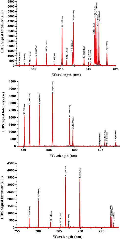 Typical LIBS spectra of the dried RRs in the 580 nm to 780 nm spectral range.