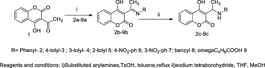 3-Aminoalkyl-4-hydroxy coumarin derivatives.