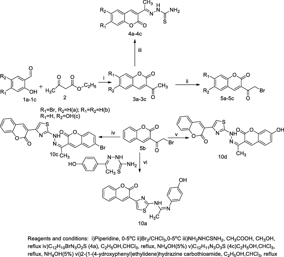 Hydrazonyl thiazolyl substituted coumarin derivatives.