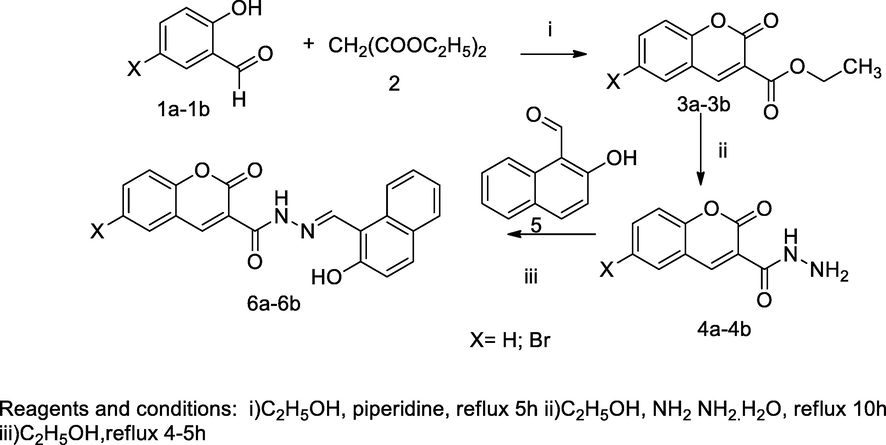 Metal complexes-Coumarin schiff base derivatives.