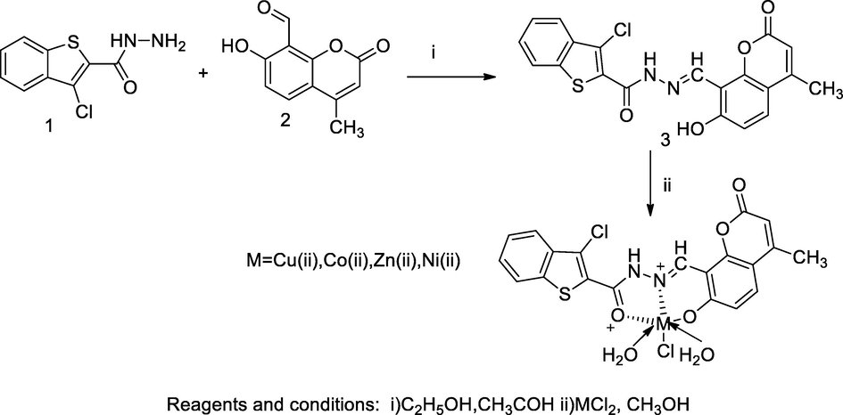 Metal complexes Thiophene hydrazine-coumarin.