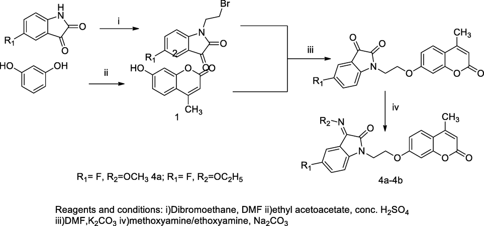 Indolin- 2,3-dione-coumarin derivatives.