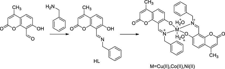 Metal chelate of Schiff base with coumarin derivatives.