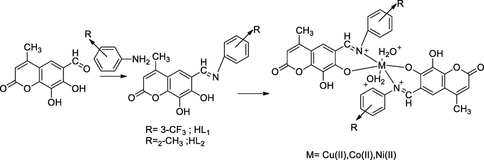 Transitional metal complexes with coumarin derivatives.