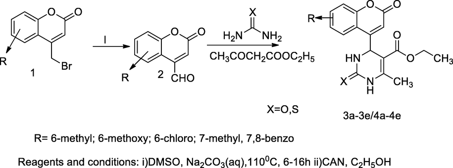 Pyrimidinone bearing coumarin derivatives.