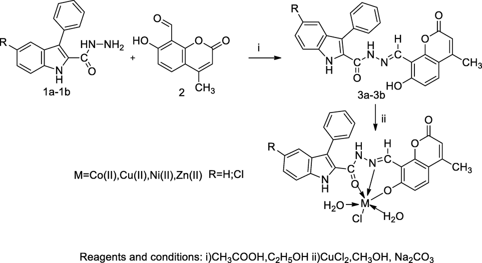 Indole carbaxahydrazide Schiff base coumarin derivatives.