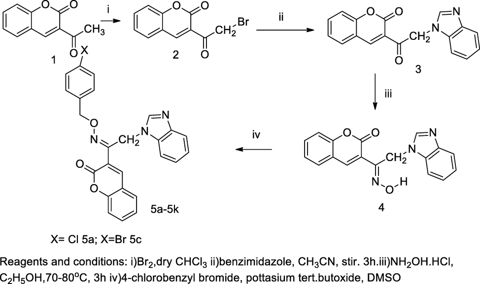 N- Benzoimidazolyl oxime of acetyl coumarin derivatives.