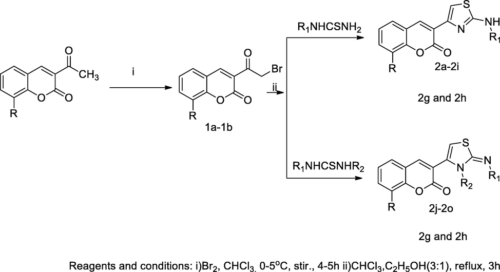 3-Thiazolylamino coumarin derivatives.