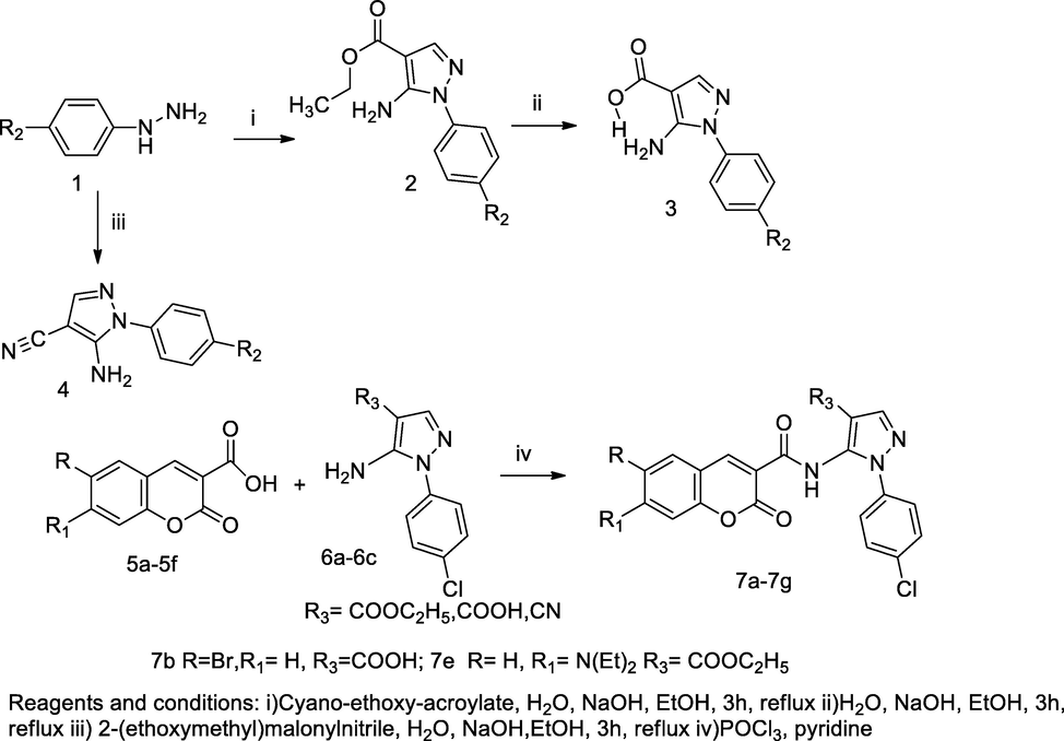 N- Pyrazolyl coumarin- 3-carboxamide derivatives.