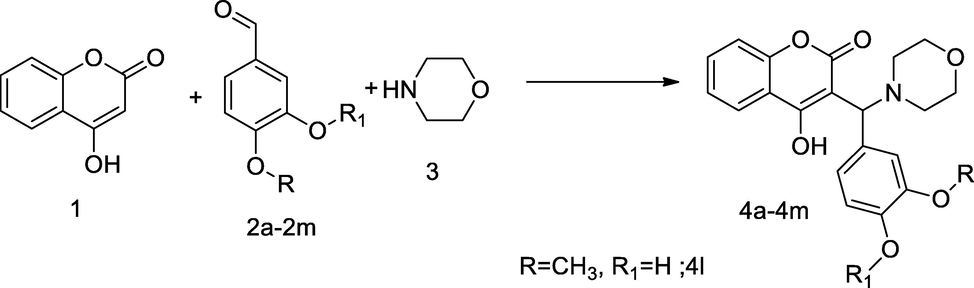 Coumarin mannich based derivatives.