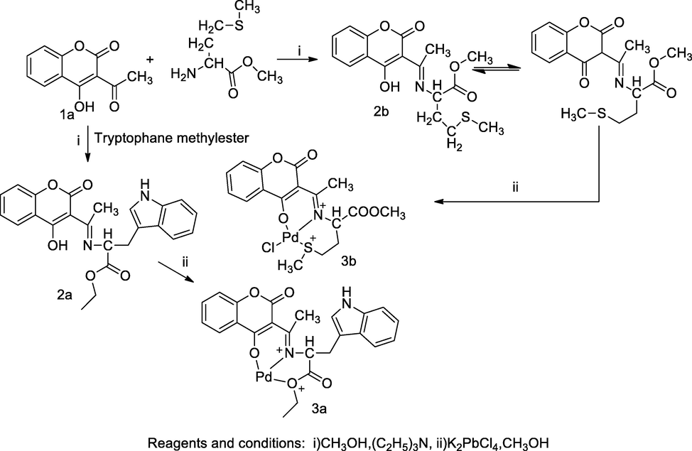 Palladium complexes coumarin derivatives.