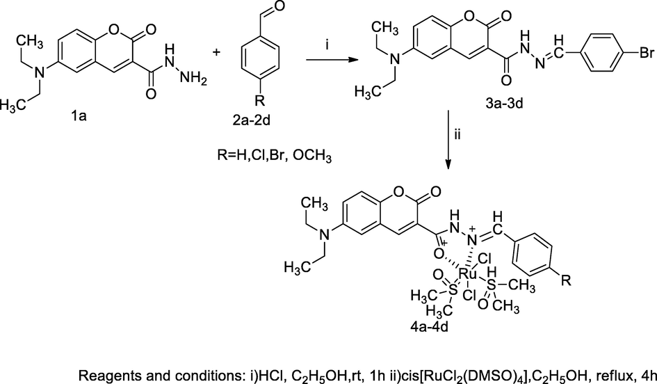 Ruthenium complexes of 3-acetohydrazone coumarin.