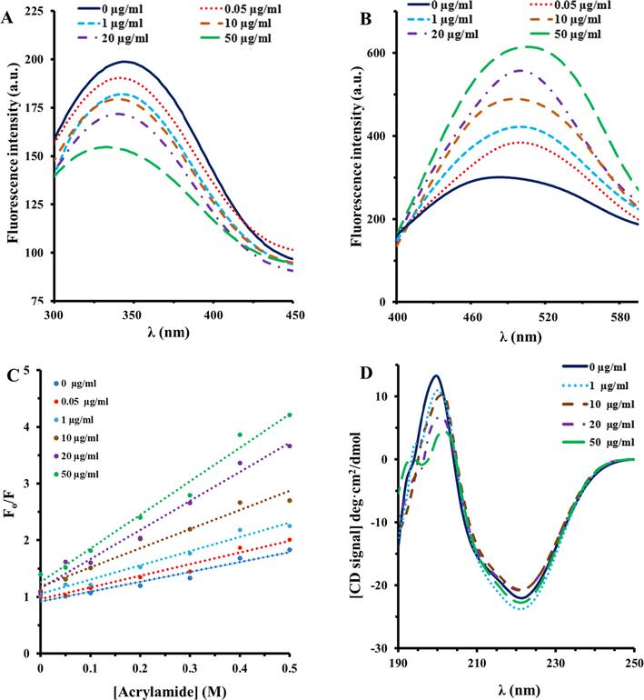 Fluorescence quenching (A), ANS fluorescence (B), Stern-Volmer plot of acrylamide quenching (C), and CD spectra (D) of HSA in thepresence of varying concentrations of Al2O3 NPs at room temperature.