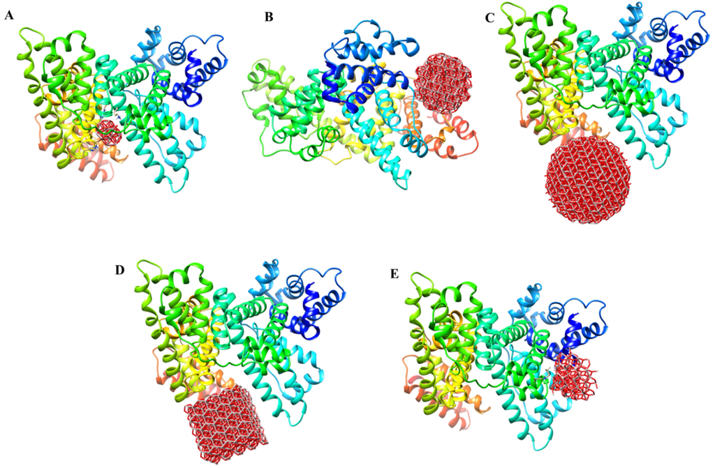 HEX 6.3 results of the interaction of HSA with Al2O3 nano-clusters, spherical-shaped with r = 0.5 nm (A), spherical-shaped with r = 1 nm (B), spherical-shaped with r = 1.5 nm (C), cubical-shaped with a = 2 nm (D), conical-shaped with r = 1 nm, h = 1.5 nm (E).