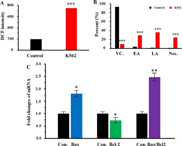 (A) ROS assay of K562 cells either alone or incubated with highest concentration (50 µg/ml) of Al2O3 NPs for 24 hrs. (B) Annexin-V/PI assay of K562 cells either alone or incubated with highest concentration (50 µg/ml) of Al2O3 NPs for 24 hrs. (C) qPCR analysis of K562 cells incubated with highest concentration (50 µg/ml) of Al2O3 NPs for 24 hrs. *P < 0.5, **P < 0.01, and ***P < 0.001 relative to negative control cells. Abbreviations: Con.: control; VC.: viable cells; EA: early apoptosis; LA: late apoptosis; Nec: necrosis.