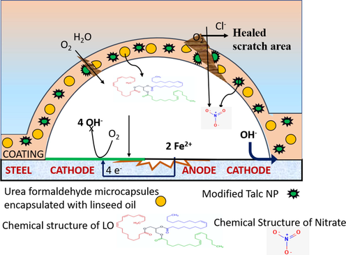 Schematic diagram showing the self-healing and corrosion inhibition mechanism of the developed polymeric nanocomposite coatings.