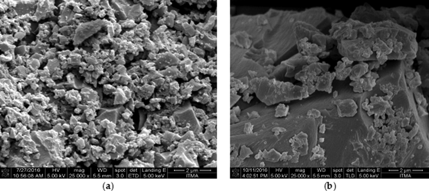 FESEM image of (a) MIP-β-CD-9VC and (b) NIP-β-CD-9VC.