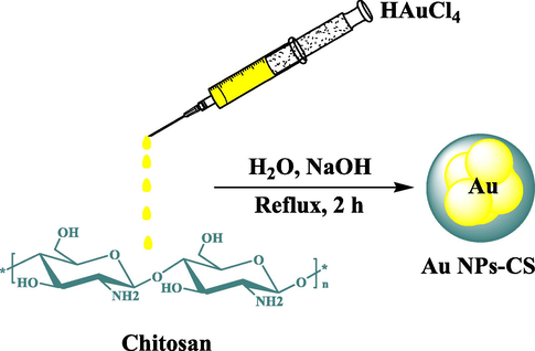 Synthesis of Au NPs-CS nanocomposite.