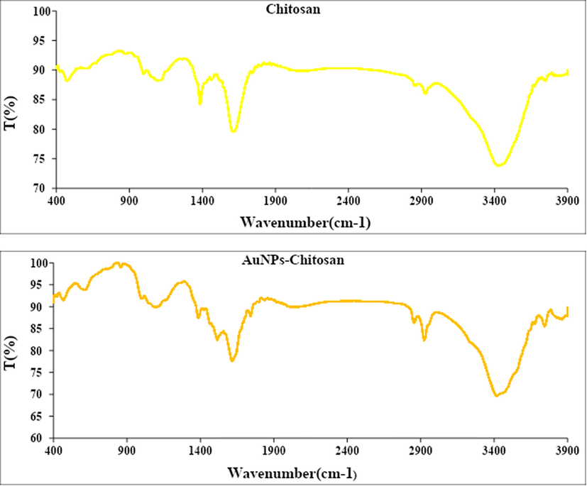 FT-IR analysis of chitosan (a) and Au NPs-CS nanocomposite (b).