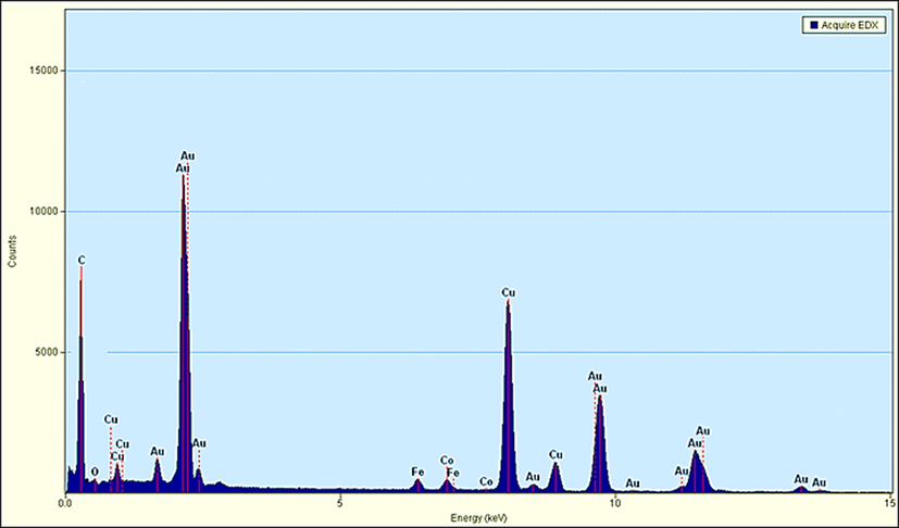 EDX spectrum of the Au NPs-CS nanocomposite.