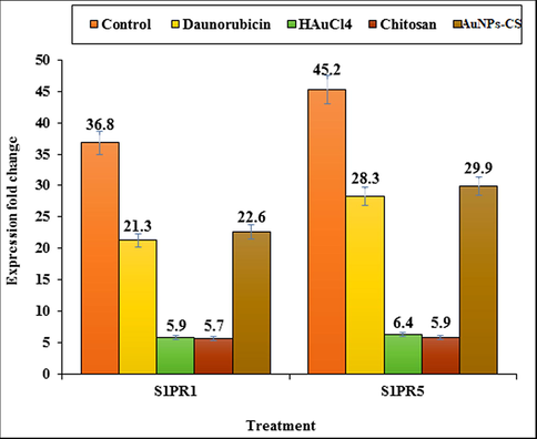 Expression fold change of S1PR1 and S1PR5 in control, Daunorubicin, HAuCl4, chitosan, and Au NPs-CS nanocomposite groups in comparison to the untreated group.