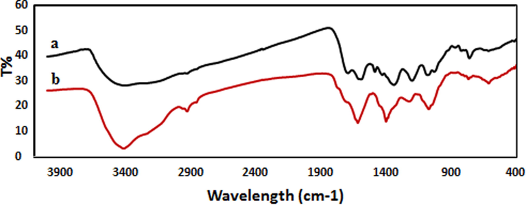 FT-IR spectra of (a) Mentha Longifolia leaf extract and (b) biosynthesized Au NPs.