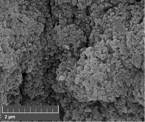 FE-SEM image of biosynthesized Au NPs.