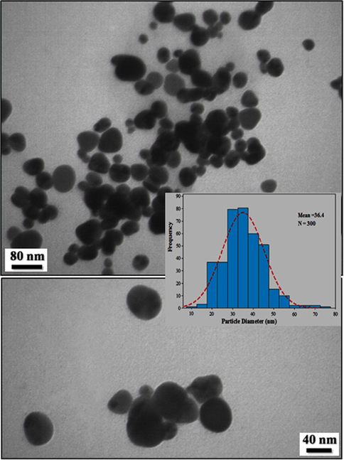 TEM images of biosynthesized Au NPs.