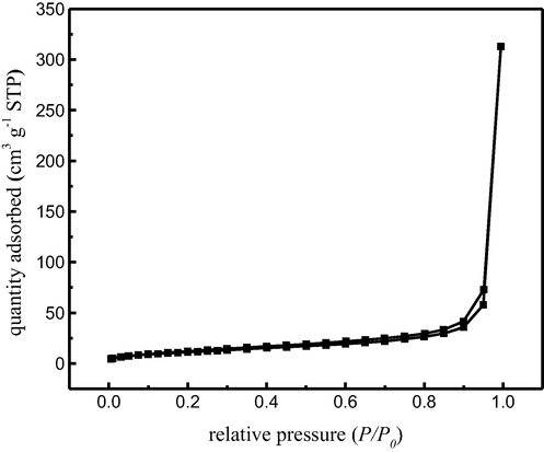 The N2 adsorption-desorption isotherms of MCA.