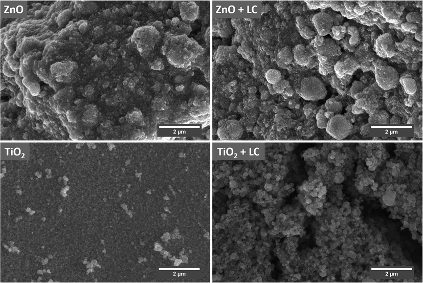 SEM images of ZnO, ZnO + LC, TiO2 and TiO2 + LC samples.