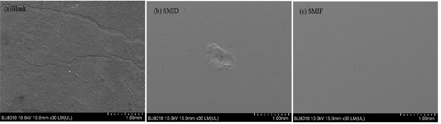 (a) The surface of Q235 steel in SCP solution; (b) the surface of Q235 steel in 4.0 g/L SMIF; (c) the surface of Q235 steel in 4.0 g/L SMID.