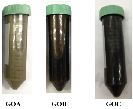 Photographic images of GO samples with different amount of KMnO4.