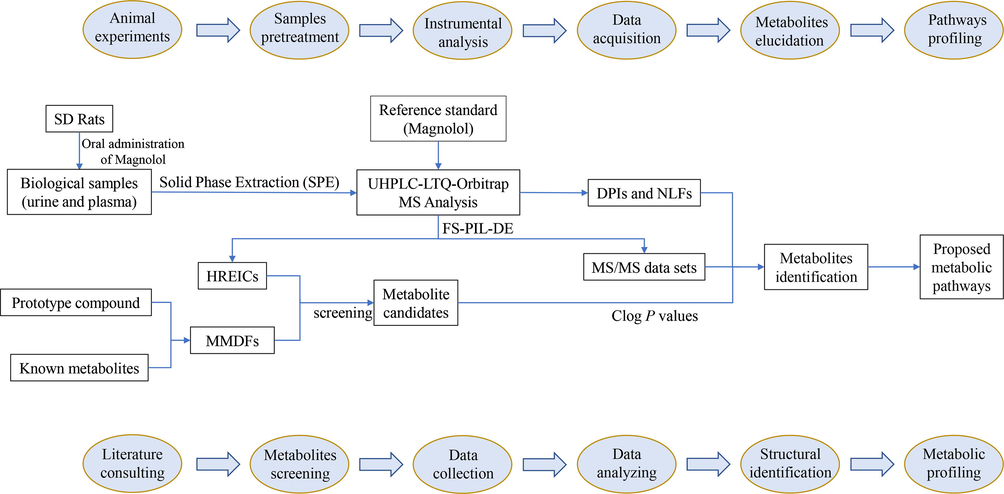 Summary diagram of the developed analytical strategy and methodology.