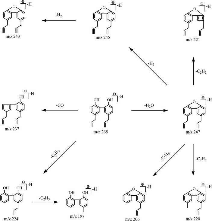 The mass fragmentation behaviors of magnolol.