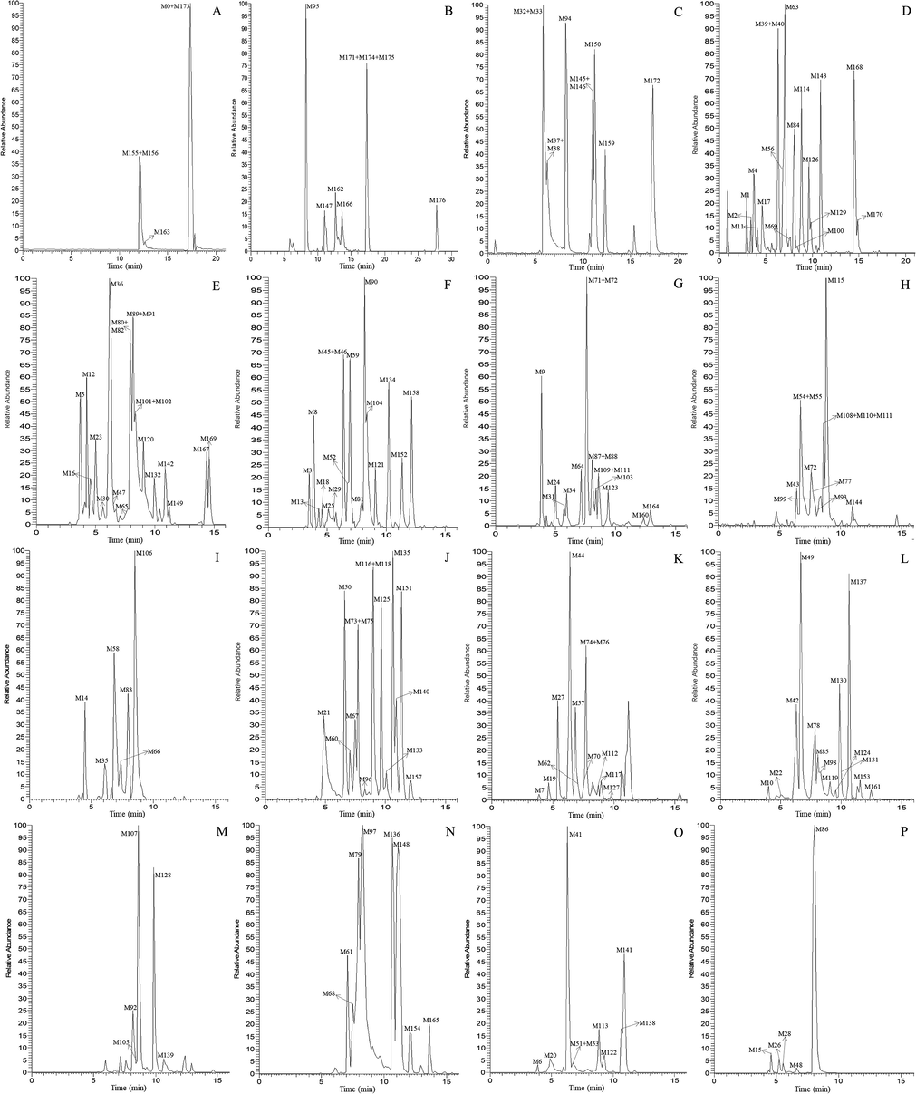 High resolution extracted ion chromatograms for the multiple daidzein metabolites in rat urine and plasma (A-C for plasma and D-P for urine): (A) m/z 223.07551, 235.11177, 239.10667, 345.07911, 443.09739, 586.17419, 650.14732; (B) m/z 247.11181, 263.10661, 279.10151, 283.13291, 299.12771, 379.08459; (C) m/z 265.12229, 441.15441, 584.16969; (D) m/z 209.05991, 225.05481, 243.06539, 253.12232, 287.09149, 309.11219, 313.07059, 333.13319, 395.07949; (E) m/z 255.10159, 269.11729, 311.12772, 315.12269, 329.10189, 341.14029, 361.07401; (F) m/z 255.06532, 301.07079, 343.08342, 359.09482, 415.10249, 427.13877, 461.18059, 471.12859; (G) m/z 261.09107, 269.08092, 271.06029, 329.08422, 400.12132, 429.08179, 637.17634; (H) m/z 327.12274, 329.08422, 329.13829, 377.06892; (I) m/z 473.14422; (J) m/z 237.09111, 251.10661, 253.08601, 257.08099, 283.09641, 333.00652; (K) m/z 263.10661, 265.08581, 313.10701, 475.15989; (L) m/z 267.10151, 283.06019, 295.09641, 442.13192, 457.14931; (M) m/z 277.08582, 279.10151; (N) m/z 281.11721; (O) m/z 253.04971, 297.11211; (P) m/z 269.04459.